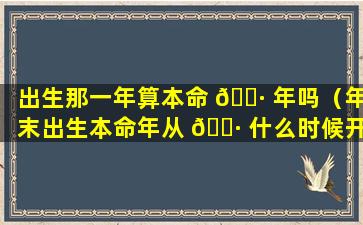 出生那一年算本命 🌷 年吗（年末出生本命年从 🌷 什么时候开始算）